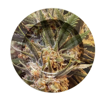 Bar Cigar Round Ashtray Tobacco Herb Metal Cigarette Rolling Tray Smoking Accessories Creative Personality Men's Gadgets GOOD Vibrations Adult Super Store