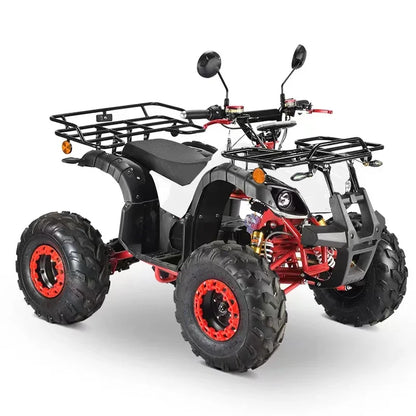 60V 2000W Electric ATV Electric Start Quad Bike Shaft Drive with Disc Brake for Adult EEC COC Good Vibrations