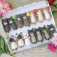 Cute and Interesting handmade toys DIY wool felt cat kits unfinished plush doll poking music toy gift Non-finished product Good Vibrations