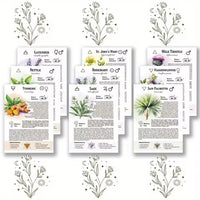 Witch's Herbal Codex - Magical Herb Guide Book Occult Pagan Witchcraft Reference Witch Herbal Notebook Good Vibrations