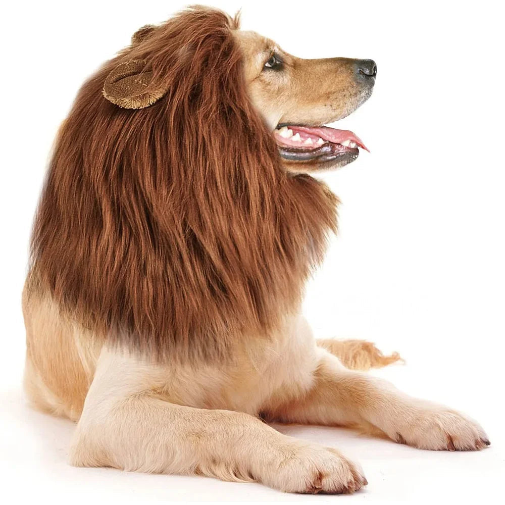 Cute Pet Dog Cosplay Clothes Lion Mane For Dog Costumes Realistic Lion Wig For Medium to Large Dogs With Ear Pet Accessories Good Vibrations