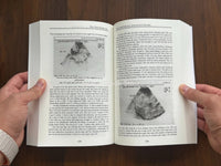 The Cure for All Advanced Cancers Book By Dr. Hulda Clark | Tumor Treatment Natural Therapy Guide Good Vibrations