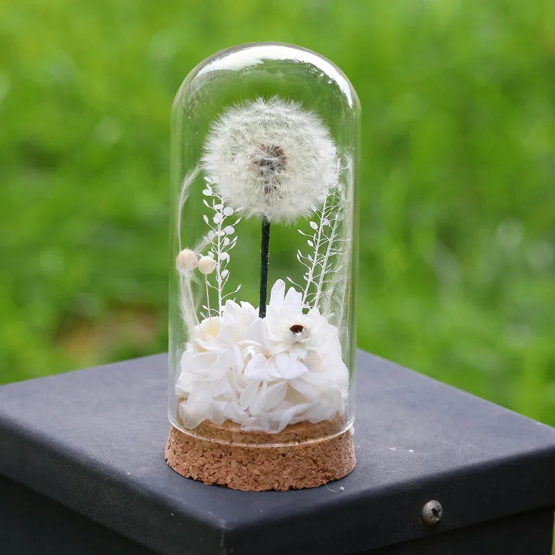 Popular Preserved Flower Gift with Glass Dome and Dandelion - Ideal for Mother's Day, Qixi, Valentine's, Birthdays & Weddings Good Vibrations