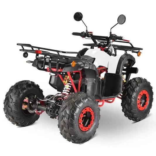 60V 2000W Electric ATV Electric Start Quad Bike Shaft Drive with Disc Brake for Adult EEC COC Good Vibrations