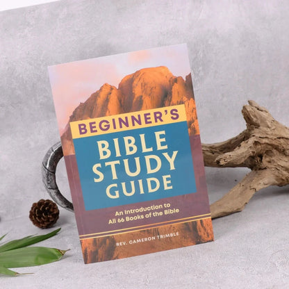 Beginner's Bible Study Guide: An Introduction to All 66 Books of the Bible Good Vibrations