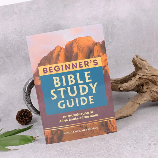 Beginner's Bible Study Guide: An Introduction to All 66 Books of the Bible Good Vibrations