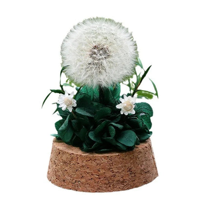 Popular Preserved Flower Gift with Glass Dome and Dandelion - Ideal for Mother's Day, Qixi, Valentine's, Birthdays & Weddings Good Vibrations