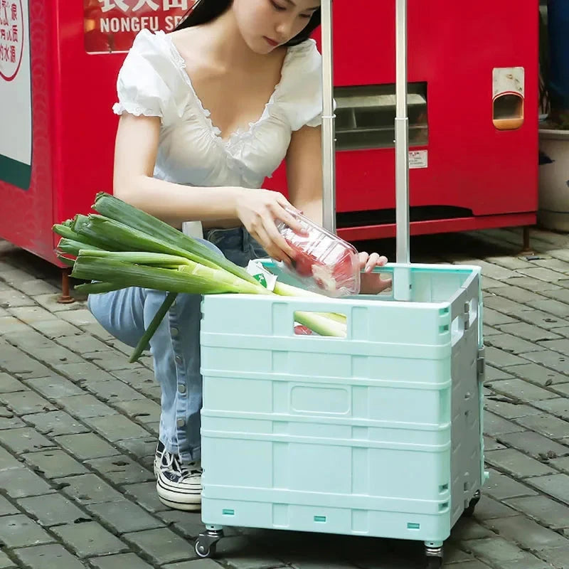 Home Supplies Trolley Shopping Storage Containers Folding Cart Plastic Shopping Cart Vehicle Mounted Storage Box Bag On Wheels Good Vibrations