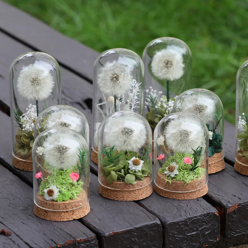 Popular Preserved Flower Gift with Glass Dome and Dandelion - Ideal for Mother's Day, Qixi, Valentine's, Birthdays & Weddings Good Vibrations