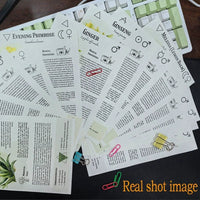 Natural and Herbal Daily Wellness Book, A Beginner's Journey Into Herbal Remedies from Garden to Apothecary Good Vibrations