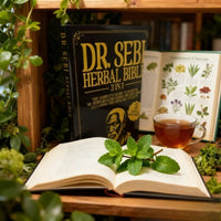 Herbal Therapy Books Are Forgotten By Family Pharmacists, and The Collection of Powerful TherapiesIsLostinYourDailyHealthyFamily Good Vibrations