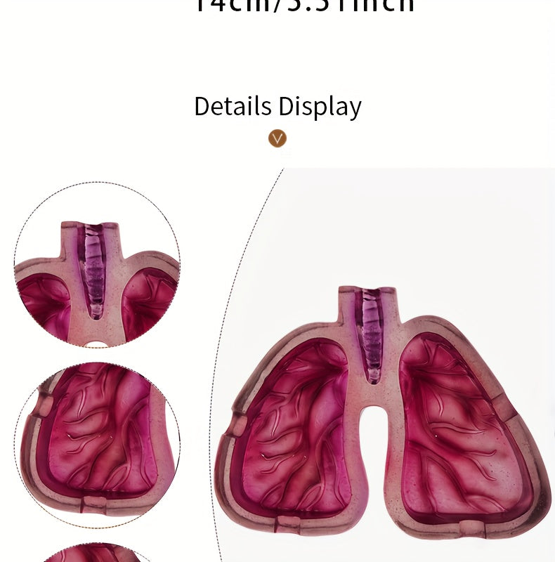Room Decor 1pc Artistic Lung-Shaped Resin Ashtray, Creative Home Office Decorative Gift, Smoking Room Accessory Good Vibrations Adult Super Store