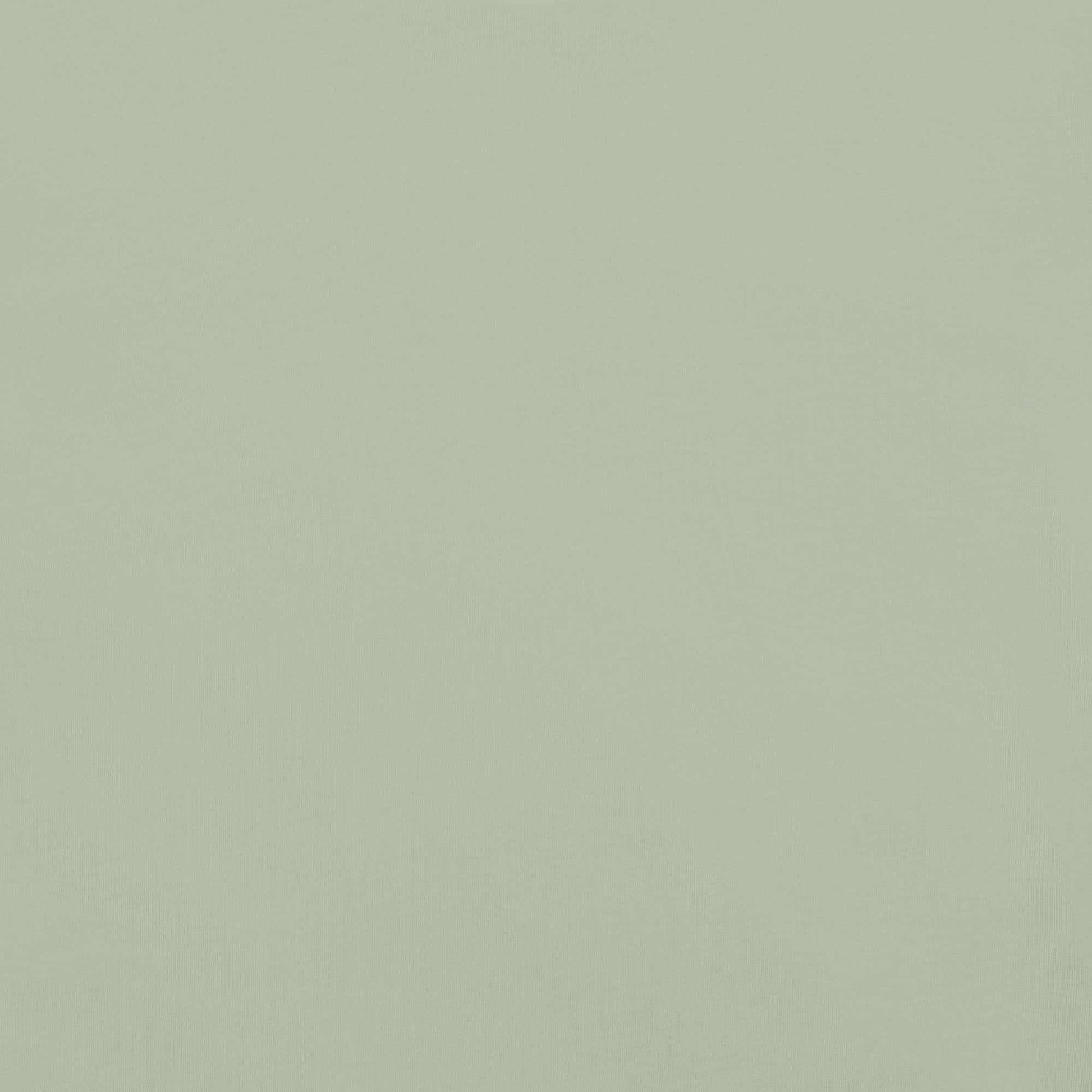 Light green texture of the Barbie Marley unisex garment-dyed heavyweight t-shirt.